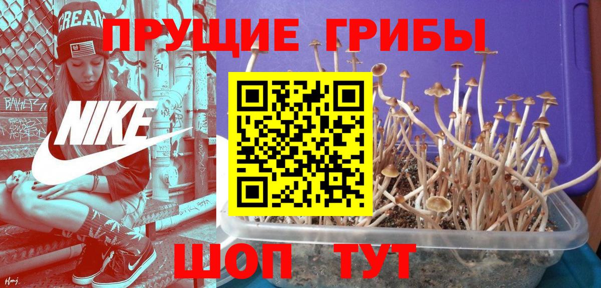 Галлюциногенные грибы мицелий  Вход с VPN  Псилоцибиновые грибы прущие грибы  Сыктывкар 