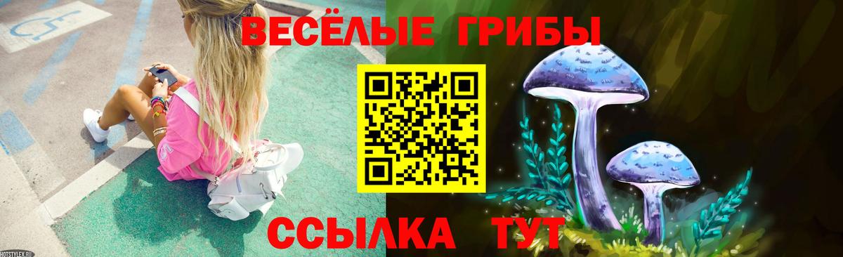 Псилоцибиновые грибы ЛСД Сыктывкар
